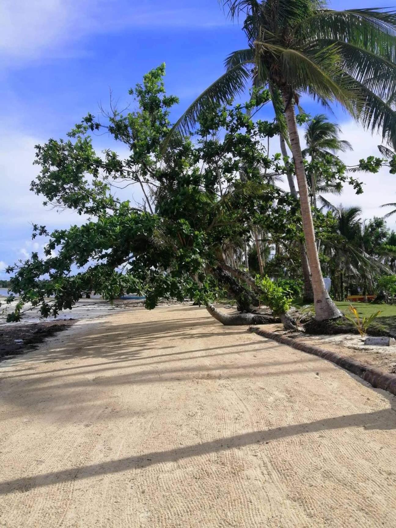 Siargao Longterm Villas - Epbliss General Luna  Exteriör bild
